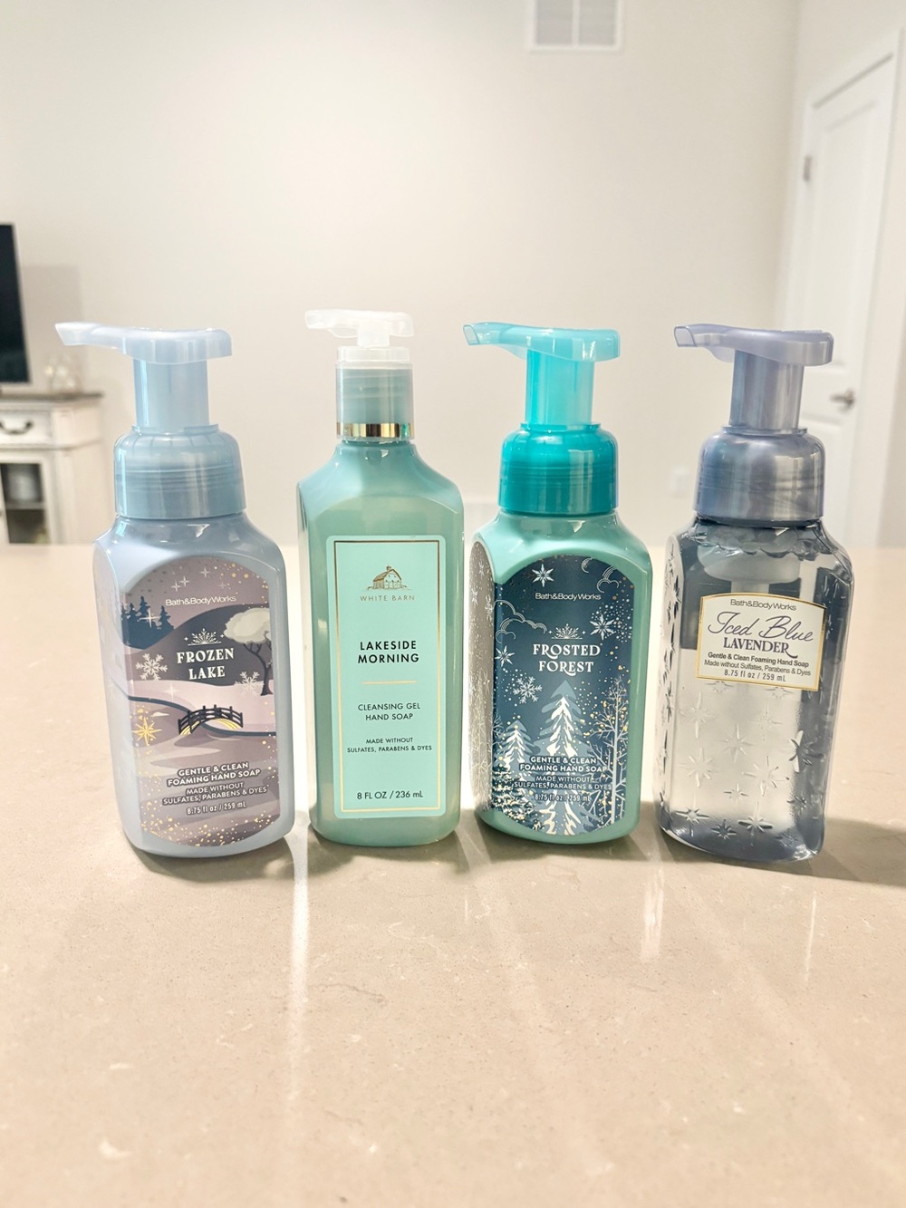 Bath & Body Works Winter Hand Soap Bundle 4pc New Frozen Frosted Lake